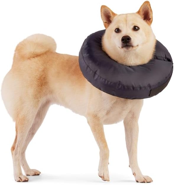 Well & Good by Petco Soft-Filled Recovery Dog Collar Large/X-Large