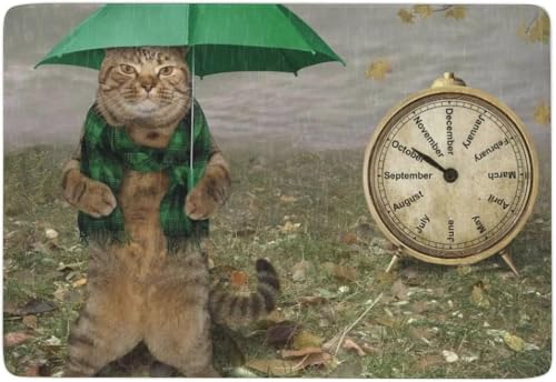 J[ybg   L P v O~ O O}bg h lC ` 100x150cm g[Ή ӂӂ􂦂 ~  v[g I[V[Y q