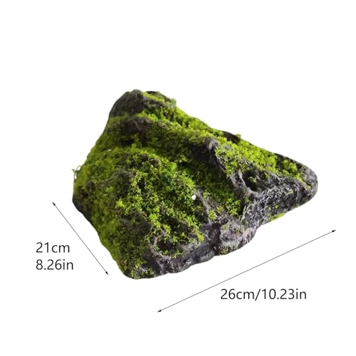 Pierres décoratives de qualité supérieure pour intérieur chic et terrarium