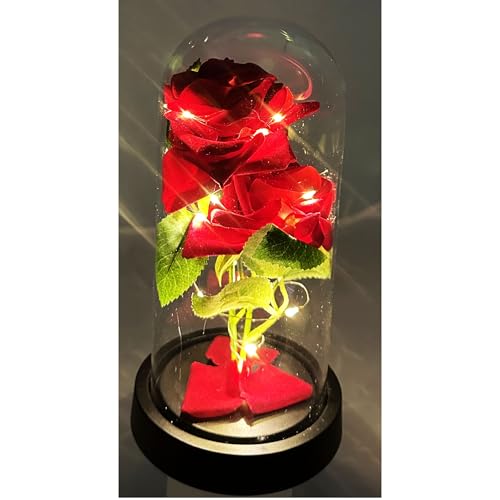 VZNBJUAN Enchanted Rose in Glass Dome with Lights, Red Silk Flower, Christmas Birthday Mother's Day (Black Base)