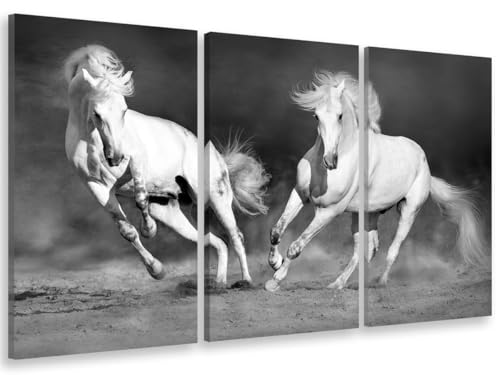 Hexoa Tableau tryptique, Tableau Cheval camarguais Noir et Blanc, 90x60cm - Made in France - 90x60