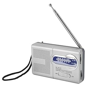 Namvo Silber AM/FM Radio