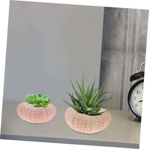 Homoyoyo 10 Pièces Coquilles D'Oursin Naturelles Décoration Maison Ornements À Suspendre Et Pots Plantes Aériennes Accessoires Artisanat Thème Mer – vue 8