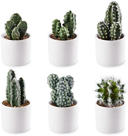 Artifloral Artificial Cactus Fake Plants Set with White Ceramic Pots, 6 Packs, Mini Faux Plants in Pots Indoor, Realistic Fake Plants For Home Decor Indoor Bedroom Office Desk Tabletop Shelf