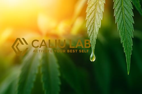 CALIU CBD | Huile de CBD Bio 25% (2500mg) | 10ml - 400 Gouttes | Arôme Menthe | Huile de Chanvre Premium | 0% THC | Fabriqué dans l’UE | Bien-être & Sommeil | cdb Hemp Oil. – Image 8