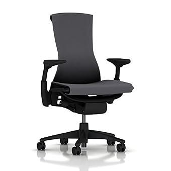 Herman Miller Embody Ergonomic Office Chair | Fully Adjustable Arms and Carpet Casters | Charcoal Rhythm