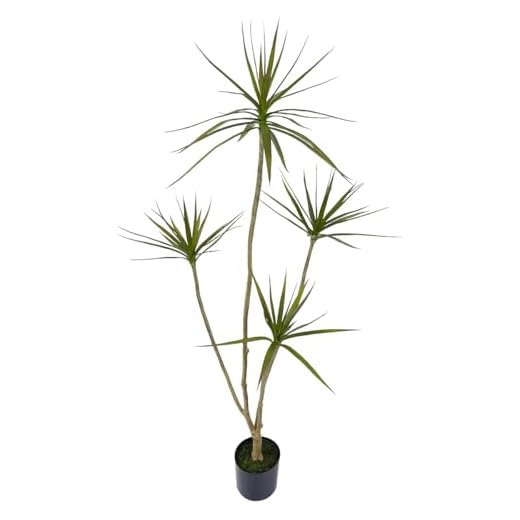 Lifelike Artificial Dracaena Marginata