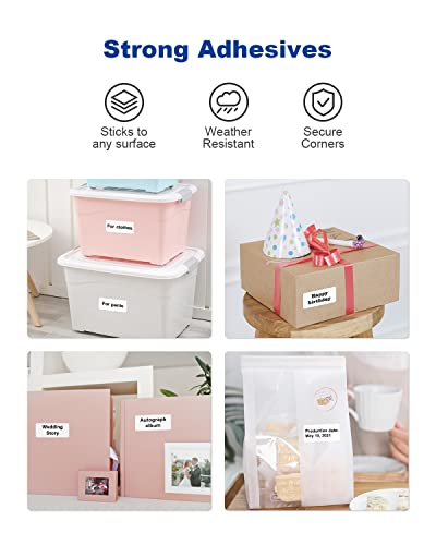 https://m.media-amazon.com/images/I/41b-GeHNe2L._SL500_.jpg