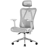 naspaluro Ergonomic Office Chair Mesh Desk Chair with Adjustable Headrest Lumbar Support 3D Armrest 90-135° Reclining Chairs for Home Office, Sturdy, Work & Gaming (Grey)