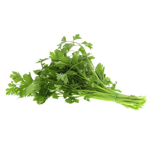 Parsley Leaves 1 Bunch