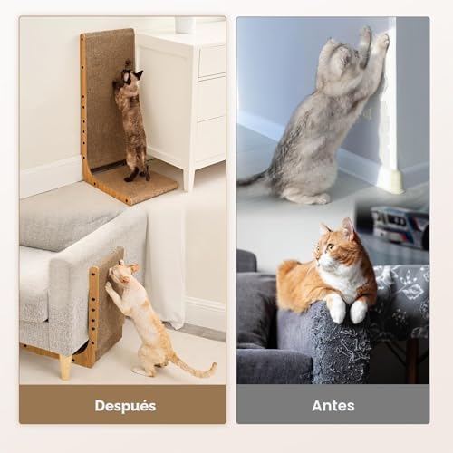 EHEYCIGA Cardboard Cat Scratcher for Indoor Cats — top-down angle highlighting key features