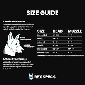Rex Specs V2 Dog Goggles (Medium, Bandit Orange)
