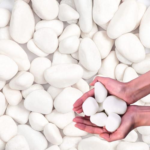 Image of 20Ib Snow White River Rock-Decorative Stones-Pebbles for Indoor Plants-Rocks for Outdoor Landscaping 1-2 inch High Polished Stones for Aquarium, Home Decor,Garden Decor