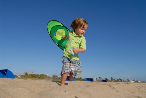 Prism Eo 6 Box Kite, Citrus #TOP4