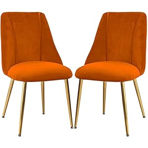 Peakfeng Fluwelen Set van 2 Fluwelen Stoelen Gestoffeerde Stoelen Make-up Kruk Vanity Stoelen Make-up Kruk Thuiskantoor…