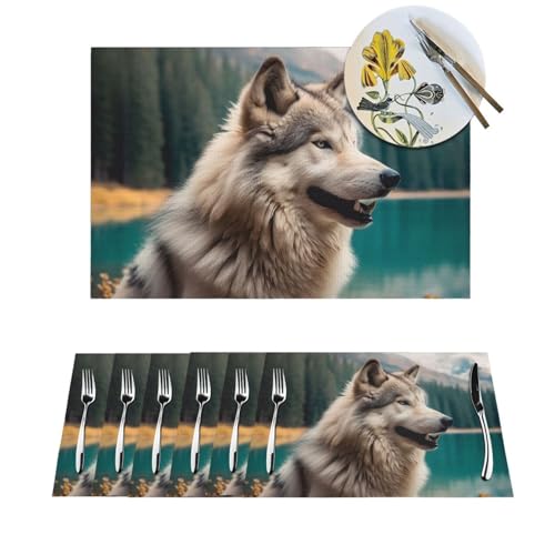 Sets de table antidérapants pour protéger la table des taches de sauce - 2