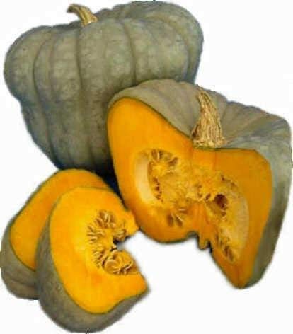 Golden Hills Farm QUEENSLAND BLUE PUMPKIN VEGETABLE - CUCURBITA MAXIMA 50 seeds (B07N5LR6FL) Amazon Price History, Amazon Price Tracker