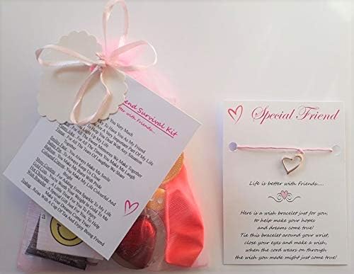 Friend Survival Gift Kit | with A Lovely Wish Bracelet Included | Special Friend | Great Fun Sentimental Keepsake Gift | for Birthday | Christmas | Thank You Gift | Great for Any Occasion