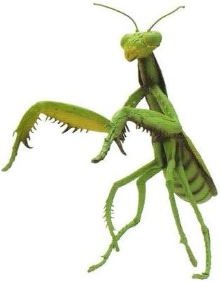 Amazon メガカマキリ ジョーク どっきり おもちゃ