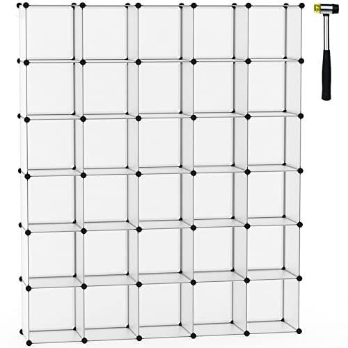 C&AHOME 30-Cube Modular Plastic Storage Organizer #TOP19
