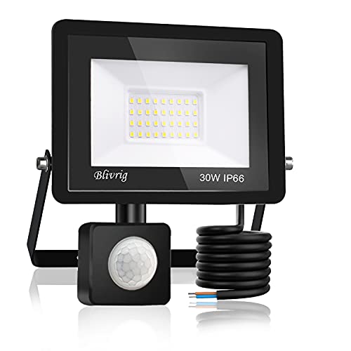 Blivrig 30W Faretto LED da esterno con Sensore di Movimento Bianco Freddo 6500K, 3000LM Faro LED Esterno Luce Bianca, Fari LED IP66 Impermeabile, per Casa, Cortile, Giardino, Garage