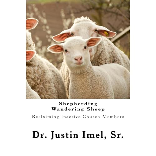 Shepherding Wandering Sheep Audiolibro Por Justin Imel arte de portada