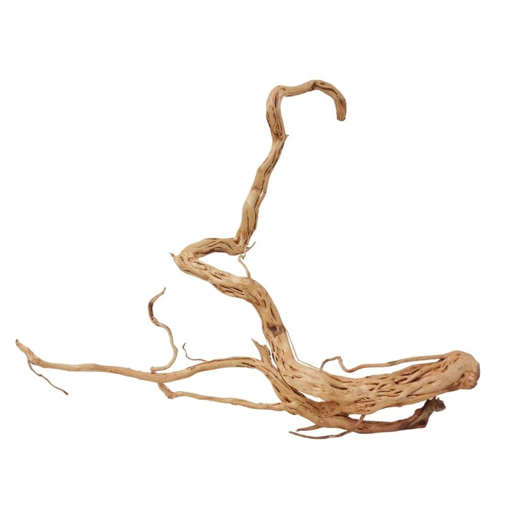 AquaOne Decorazione per acquario, radice di drago, misura XL, in vero legno, n. 2169, decorazione per piante e paesaggio, muschio naturale