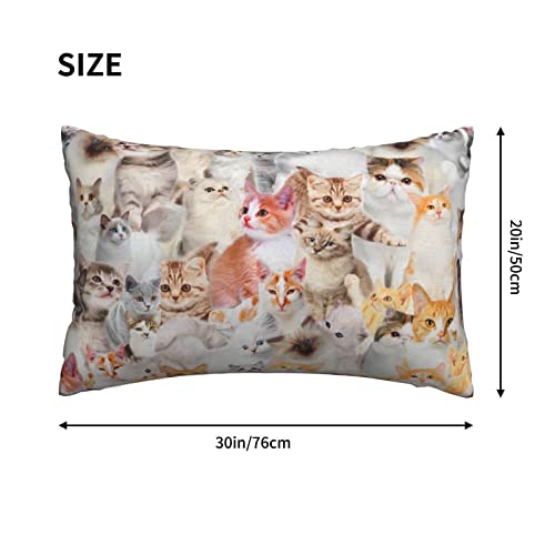 Cat Bed Pillow Pillowcases With Hidden Zipper Decor Lumbar Pillow Case Cushion Queen Size Standard 20X30 In For Hair And Skin Soft Breathable Men Women Rectangular Pillow Cover,For Sofa Couch Bed #TOP2