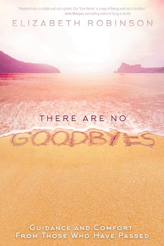 There Are No Goodbyes view 2