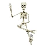 Colonel Pickles Novelties Poseable Skeleton Figure 19 Inch for Model Or Halloween Decoration - Multiple Custom Pose Positions