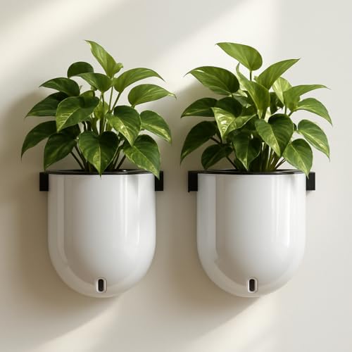 Image of Indian Discovery Self Watering Wall Hanging Planter| Hanging /Hooked Flower Pots for Home, Terrace, Balcony, Vertical Garden Decor Flower Pots(2 PC,WHITE,SPHERE)|6 Inch UV-Resistant Plastic Plant Pots