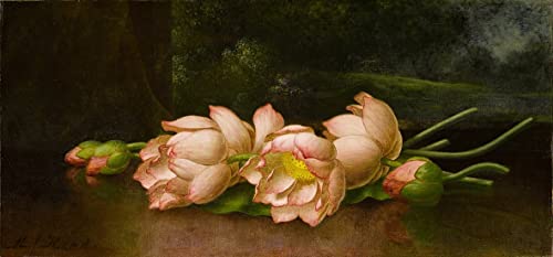 Tableau fleurs de lotus par Johnson Heade impression d'art sur toile 60x90cm