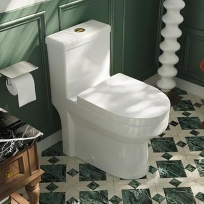 DeerValley 12" Rough-In Small Compact One Piece Toilet For Bathroom with Gold Button