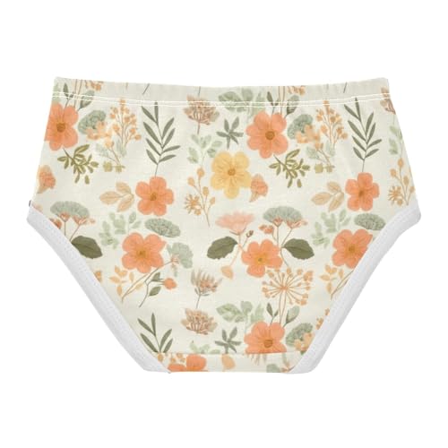 Vintage Botanical Wildflower Girls Underwear Toddlers 2t Cotton Panties for Girl Flower Kids Undies Briefs2