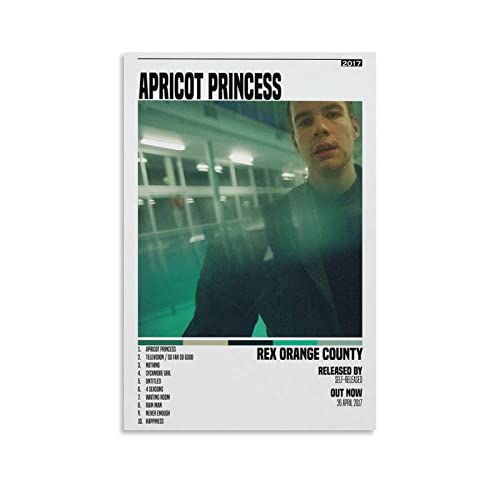 Impression Apricot Princess Rex Orange County pour sublimer un studio de musique