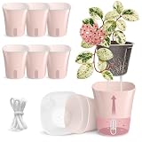 Vandorelle 8 Pack 4" Self Watering Pots for Indoor Plants, Clear Inner Cup, Small Pink Plastic Planters, Water Level Indicator, Drainage Holes, Extra 3ft Wick, Cuttings,Seedlings,Herb,African Violets