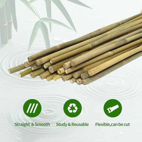36 Pcs Natural Bamboo Plant Stakes - 30% Off Garden Support