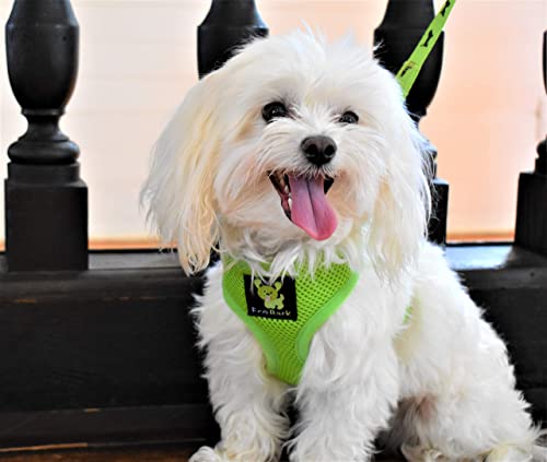 Ecobark Dog Harness - Eco-Friendly Max Comfort Harnesses - Luxurious Soft Mesh Halter - Over The Head Harness Vest- No Pull And No Choke For Small, Toy Breed, And Teacup Dogs (Xs, Green) #TOP7