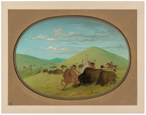 Art mural animal par George Catlin : tableau vintage de protection des veaux pour chambre 60x90cm