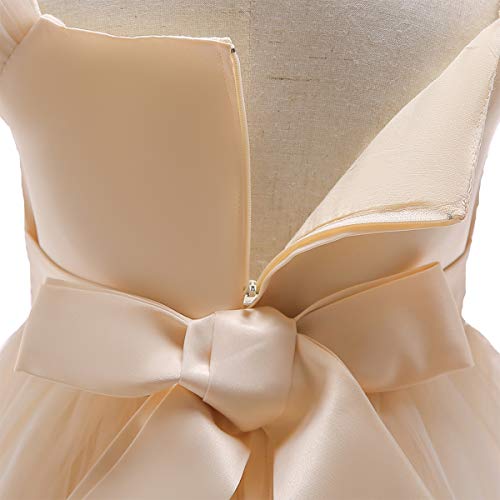 Ibtom Castle Baby Girls Birthday Christening Dress Baptism Wedding Party Flower Dress Champane 9-10 Years #TOP5