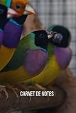  Carnet de notes Diamant de Gould: Carnet de notes  cahier de notes Diamant de Gould  100 pages