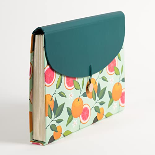 U Brands 13-Pocket Expanding File Folder, Office Supplies, Citrus Squeeze, Brass Hardware, Fsc Certified #TOP2