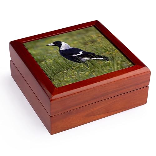3dRose Black-backed Magpie bird, Eastern Australia - NA02 DNO0611 -