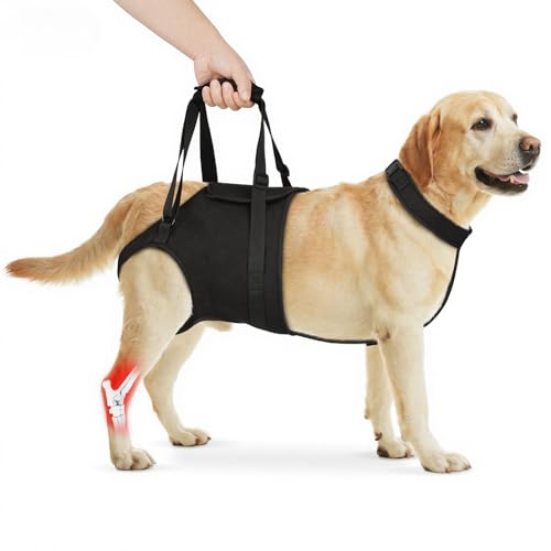 Supet Dog Sling for Large Dogs Hind Leg Support, Senior Dogs Lift Assist Harness for Weak Back Leg...