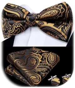 Dubulle Mens Paisley Striped Bowtie Set Pre-tied Bowtie for Men and Pocket Square Set Wedding Business