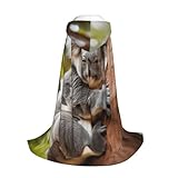 Zoom IMG-2 zhaolq hugging tree koala 1 Zoom IMG-2 zhaolq hugging tree koala 1