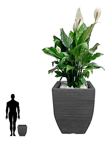 Vaso De Planta Quadrado 45x35 VTF45 Preto - Foster