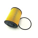 Engine Oil Filters Kit Compatible For Volkswagen Touareg CC Passat Skoda Superb 3.6L FSI V6