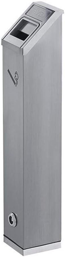 パキラ ミルキーウェイ × ムーンライト|唯一無二のパラソル樹形A6 パキラ ミルキーウェイ × ムーンライト|唯一無二のパラソル樹形A6