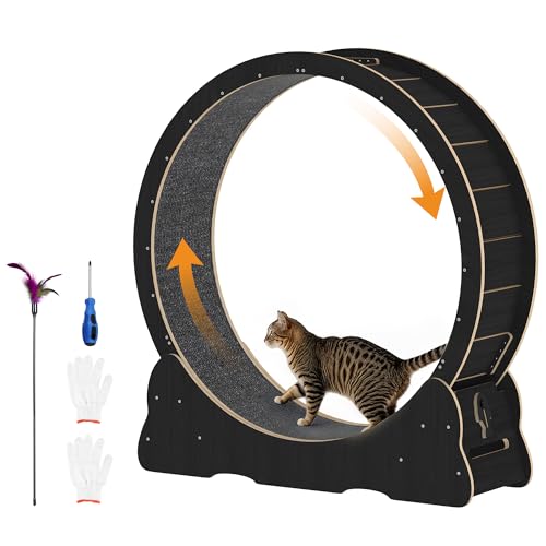 Cat Wheel for Indoor Cats Quiet Large Cat Treadmill with Detachable Carpeted Runway 46 Exercise Running Wheel for Pets Health and Entertainment (XL Black)